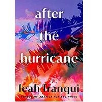 After the Hurricane by Leah Franqui PDF Download
