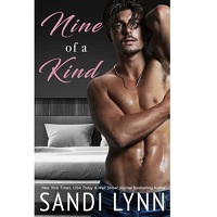 Nine of a Kind by Sandi Lynn epub Download